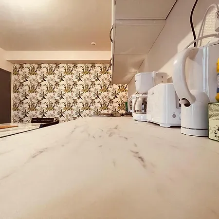 Tropicana - 297 * Rouen